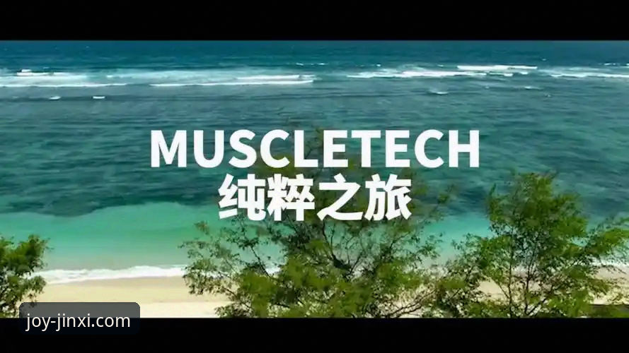 深度解析金喜体育纯粹运动最新版的6大核心升级