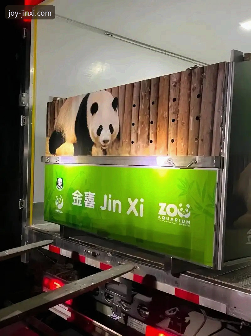 金喜体育无忧运动 金喜体育平台最新动态:无忧运动体验全面升级,老用户亲测分享